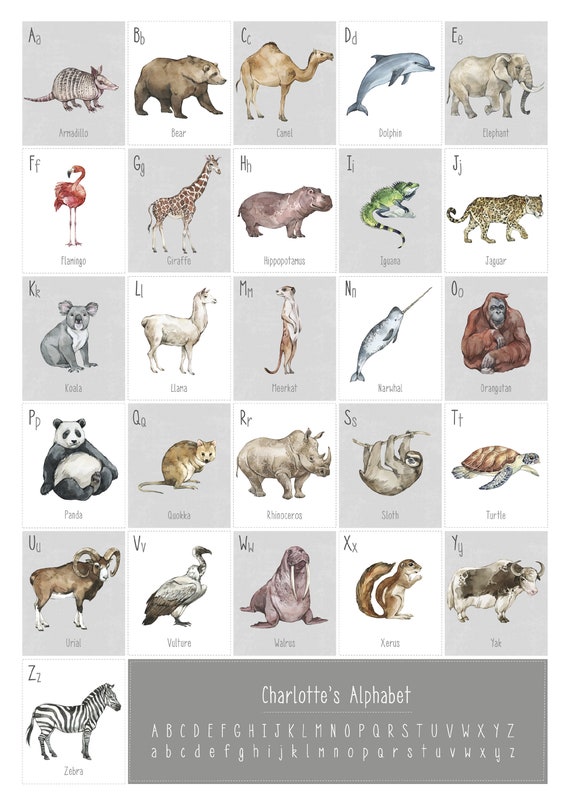 Animal Alphabet A to Z Personalised Print Kid's - Etsy Australia Animal Alphabet A to Z Personalised Print Kid's - Etsy Australia