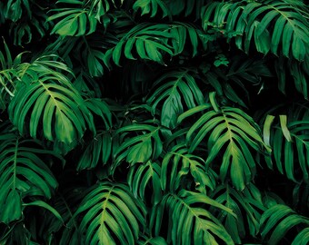 Forest Plant Wall Mural, Tropical Plants Designer Wallpaper Mural, Paste-the-wall