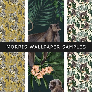 May include: Three wallpaper samples featuring a jungle theme with monkeys and tropical plants. The first sample has a yellow background with black monkeys and green leaves. The second sample has a dark green background with a large monkey and pink flowers. The third sample has a cream background with black monkeys and green leaves. The text "MORRIS WALLPAPER SAMPLES" is displayed across the top of the image.