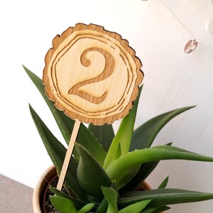 Wedding table numbers, wooden table number, tree slice table numbers, rustic table numbers, wedding table decoration, wood table numbers