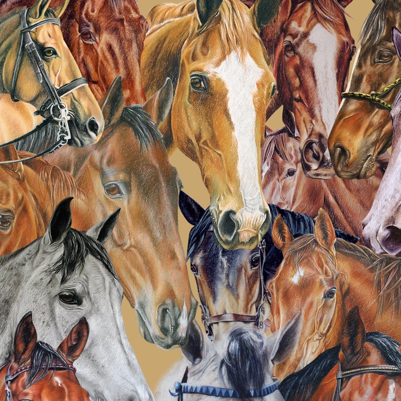 Set of 5 Printable DIY Bookmarks for HORSE Lovers Instant Download A4