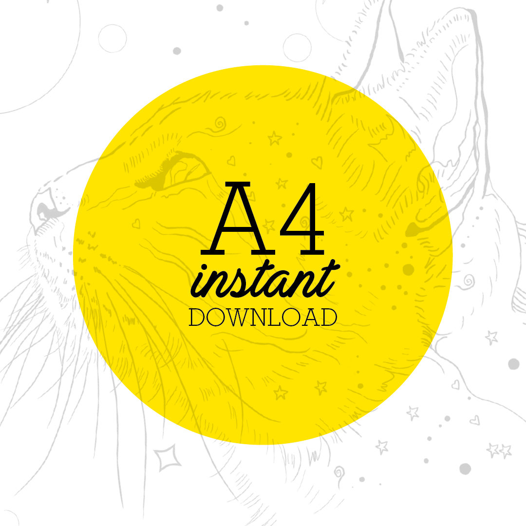 CAT Coloring Page. Adult Coloring Page. Digital Download. Kitty