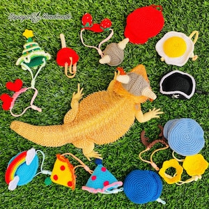 May include: A collection of colorful, crocheted pet accessories, including a Christmas tree, hearts, a rainbow, a pizza slice, and a party hat, arranged on a bed of green grass. A bearded dragon lizard is in the center of the image.