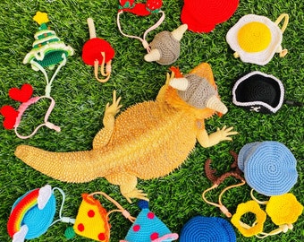 May include: A collection of colorful, crocheted pet accessories, including a Christmas tree, hearts, a rainbow, a pizza slice, and a party hat, arranged on a bed of green grass. A bearded dragon lizard is in the center of the image.