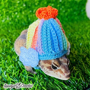 May include: A reptile wearing a colorful, crocheted hat with a pom-pom. The hat features stripes of yellow, orange, pink, purple, and blue. A light blue crocheted flower is attached to the side. The image includes the text "Tippaya Crochet".