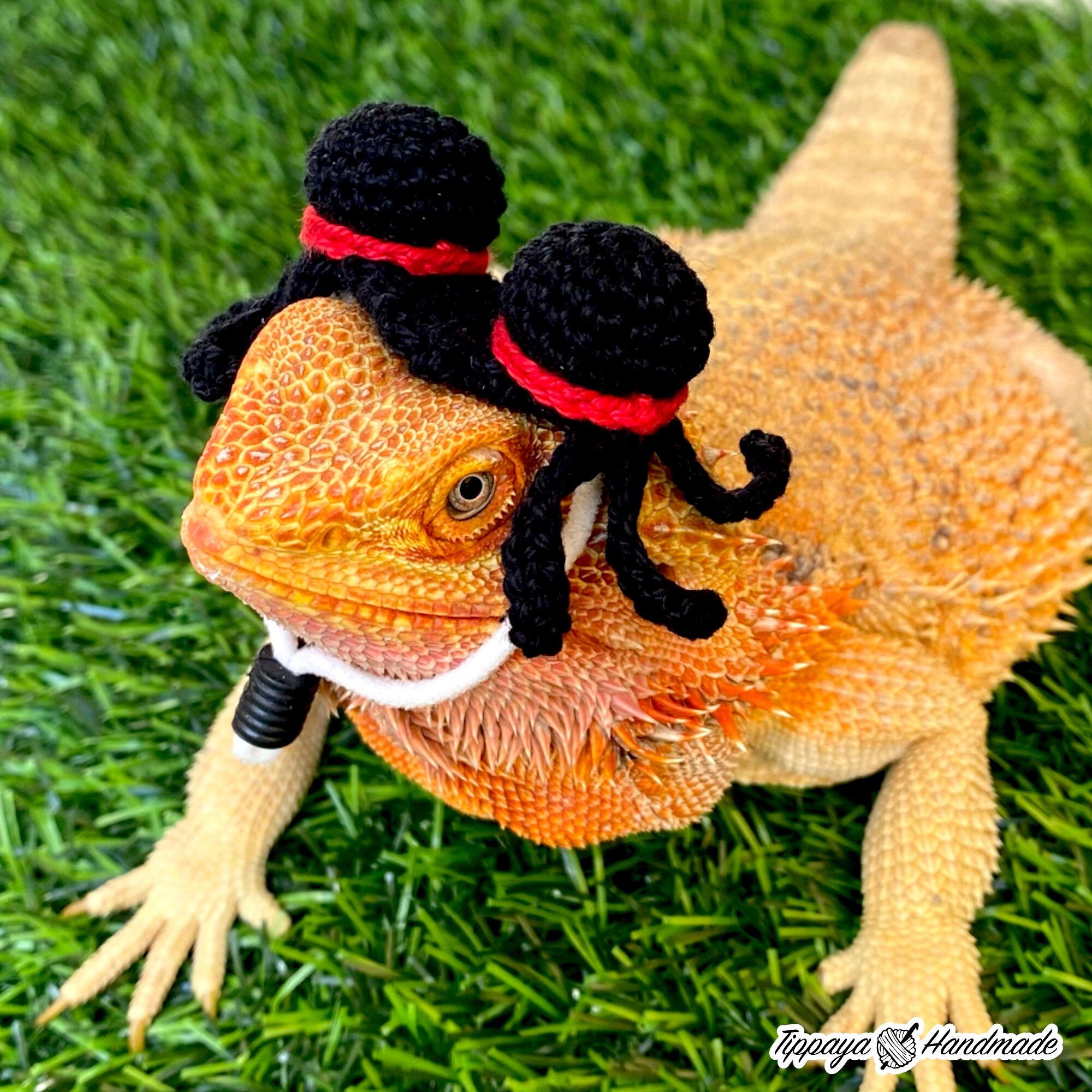 Crochet Headband Pattern for Bearded Dragon Set 4 - Etsy