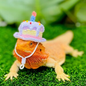 Crochet Headband Pattern for Bearded Dragon Set 2 - Etsy