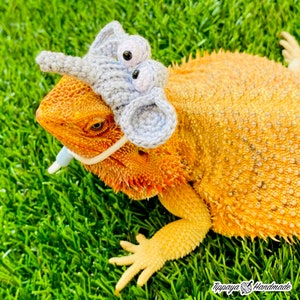 Crochet Headband Pattern for Bearded Dragon Set 4 - Etsy