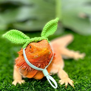 Crochet Headband Pattern for Bearded Dragon Set 2 - Etsy