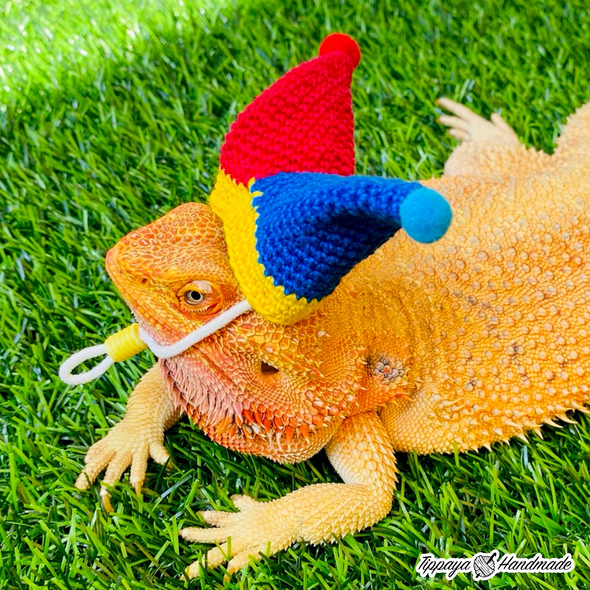 Crochet Headband Pattern for Bearded Dragon Set 4 - Etsy