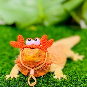 Crochet Headband Pattern for Bearded Dragon Set 2 - Etsy