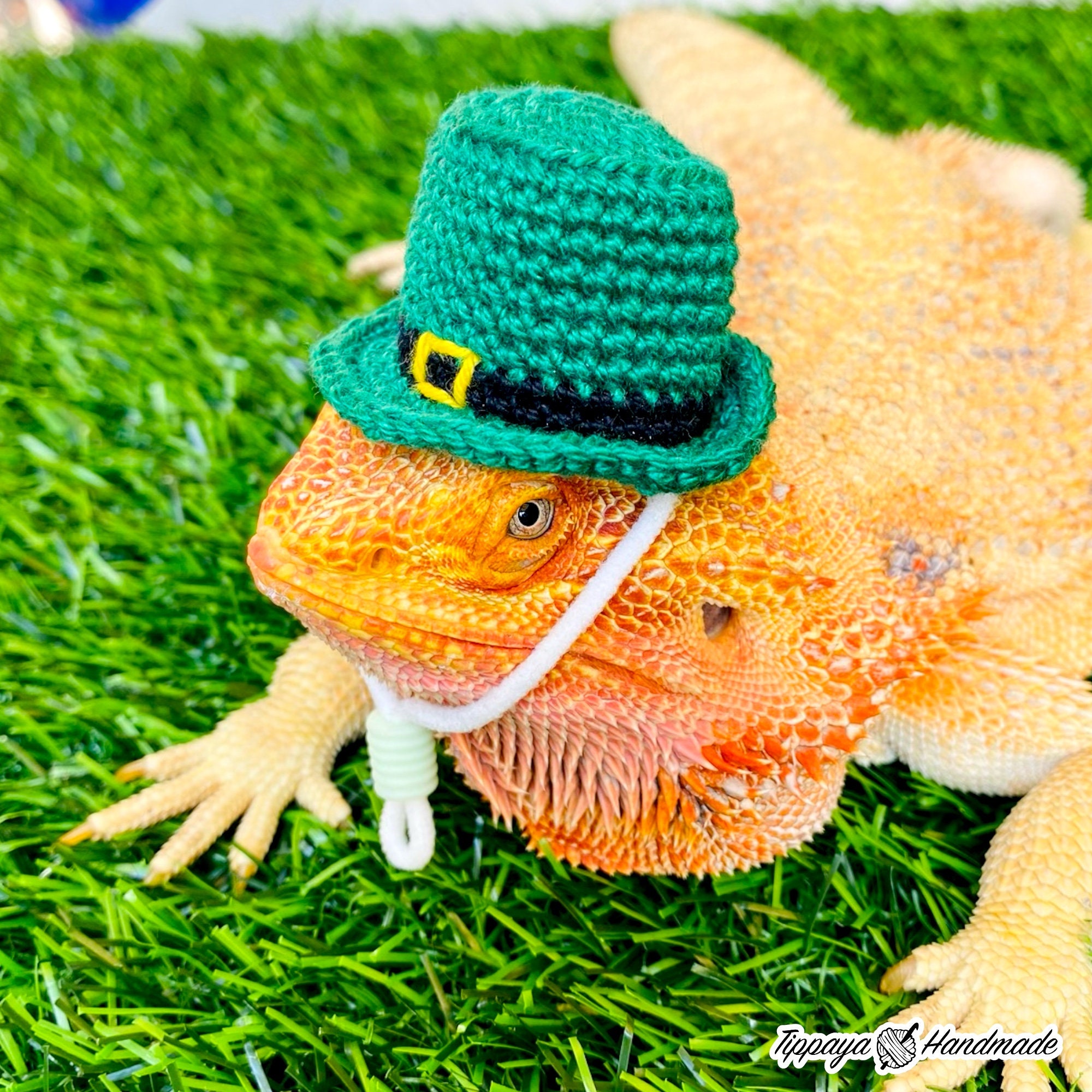 Crochet Headband Pattern for Bearded Dragon Set 4 - Etsy