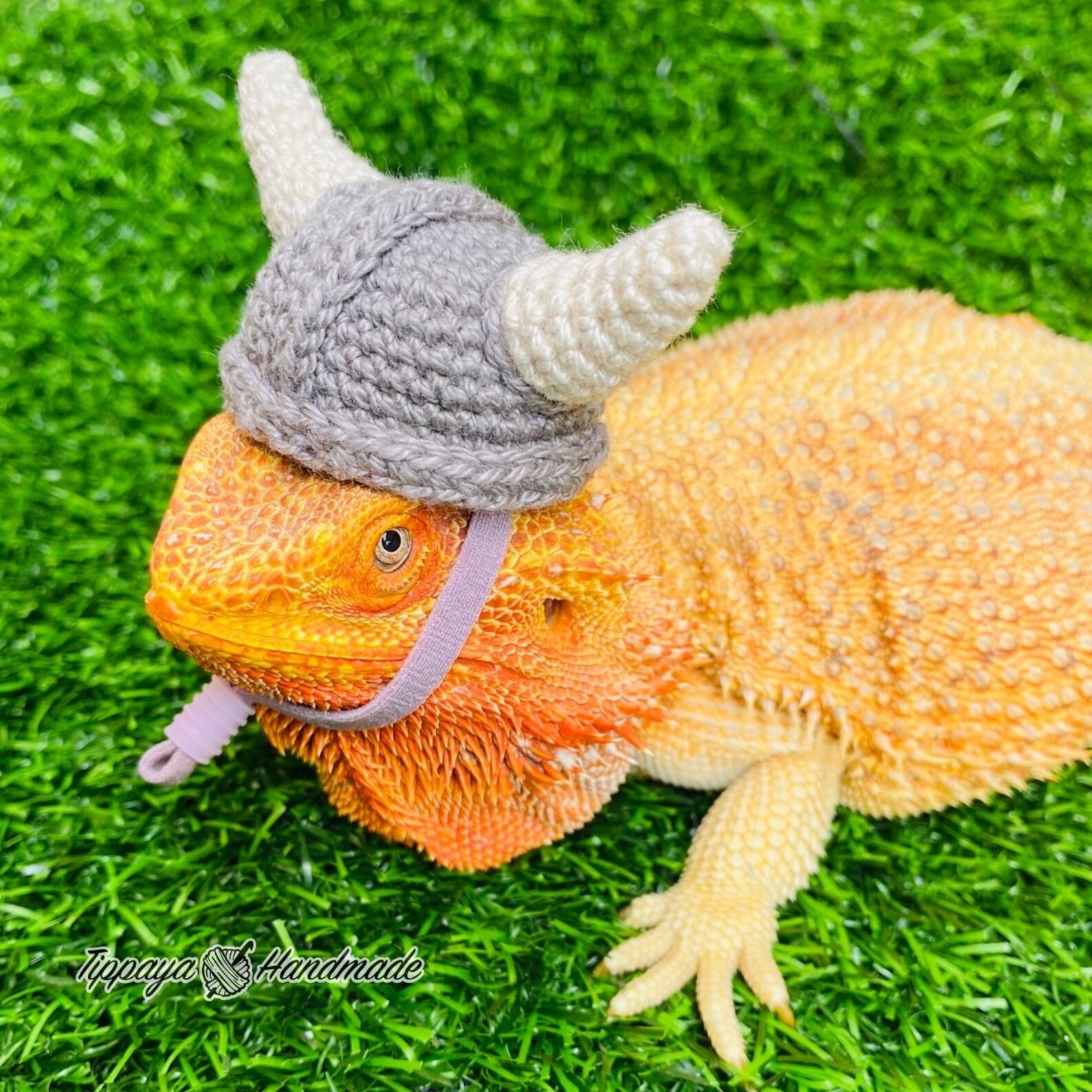 Crochet Headband Pattern for Bearded Dragon Set 3 - Etsy