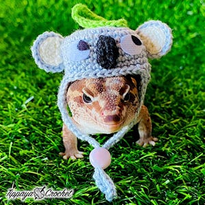 May include: A reptile wearing a light blue crochet koala hat with white and black accents. The hat has a green leaf on top and a light blue string with a pink bead. The reptile is on a bed of green grass. The text "Tippaya Crochet" is in the bottom left corner.