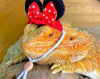 Crochet pattern of head band for bearded Dragon