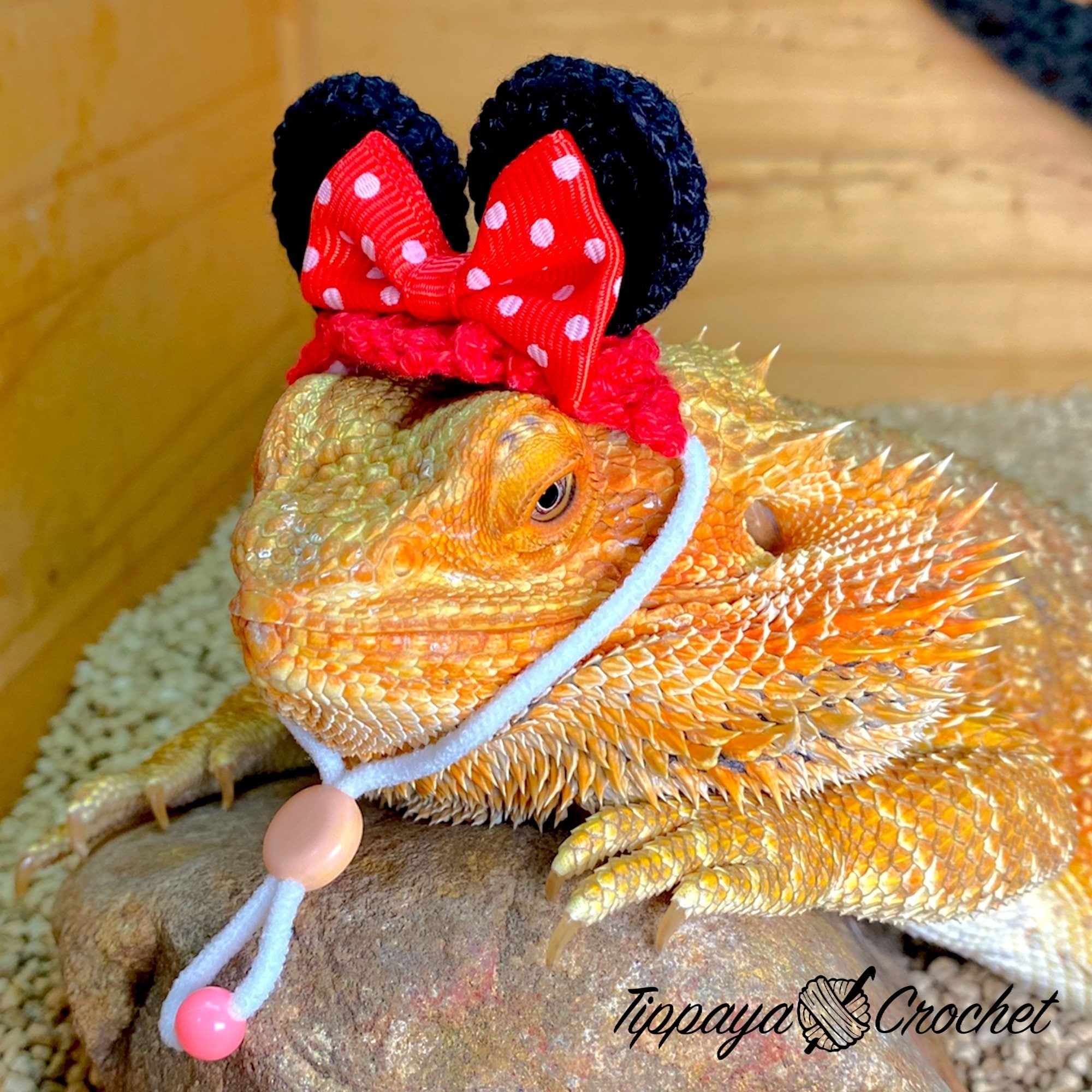 Crochet Pattern of Head Band for Bearded Dragon - Etsy