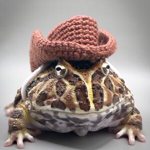 Crochet Headband Pattern for Bearded Dragon Set 2 - Etsy