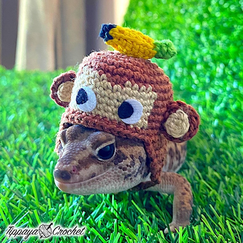 May include: A reptile wearing a handmade crochet monkey hat with a banana on top. The hat is brown, tan, and white with black eyes and tan ears. The reptile is on green grass. The text "Tippaya Crochet" is at the bottom.