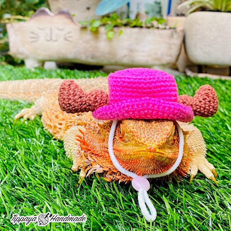 Crochet Headband Pattern for Bearded Dragon Set 5 - Etsy