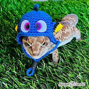 May include: A leopard gecko wearing a handmade blue crochet hat with large white and pink eyes, yellow accents, and a black chin strap. The gecko is on green artificial grass. The hat is designed to resemble a cartoon character.