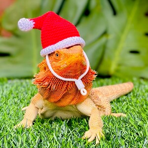 Crochet Headband Pattern for Bearded Dragon Set 2 - Etsy