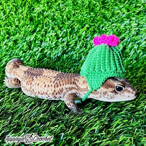 May include: A leopard gecko wearing a green crocheted cactus hat with a pink pom-pom, lying on green grass. The gecko has a brown and tan spotted pattern. The image includes the text "Tippaya Crochet".