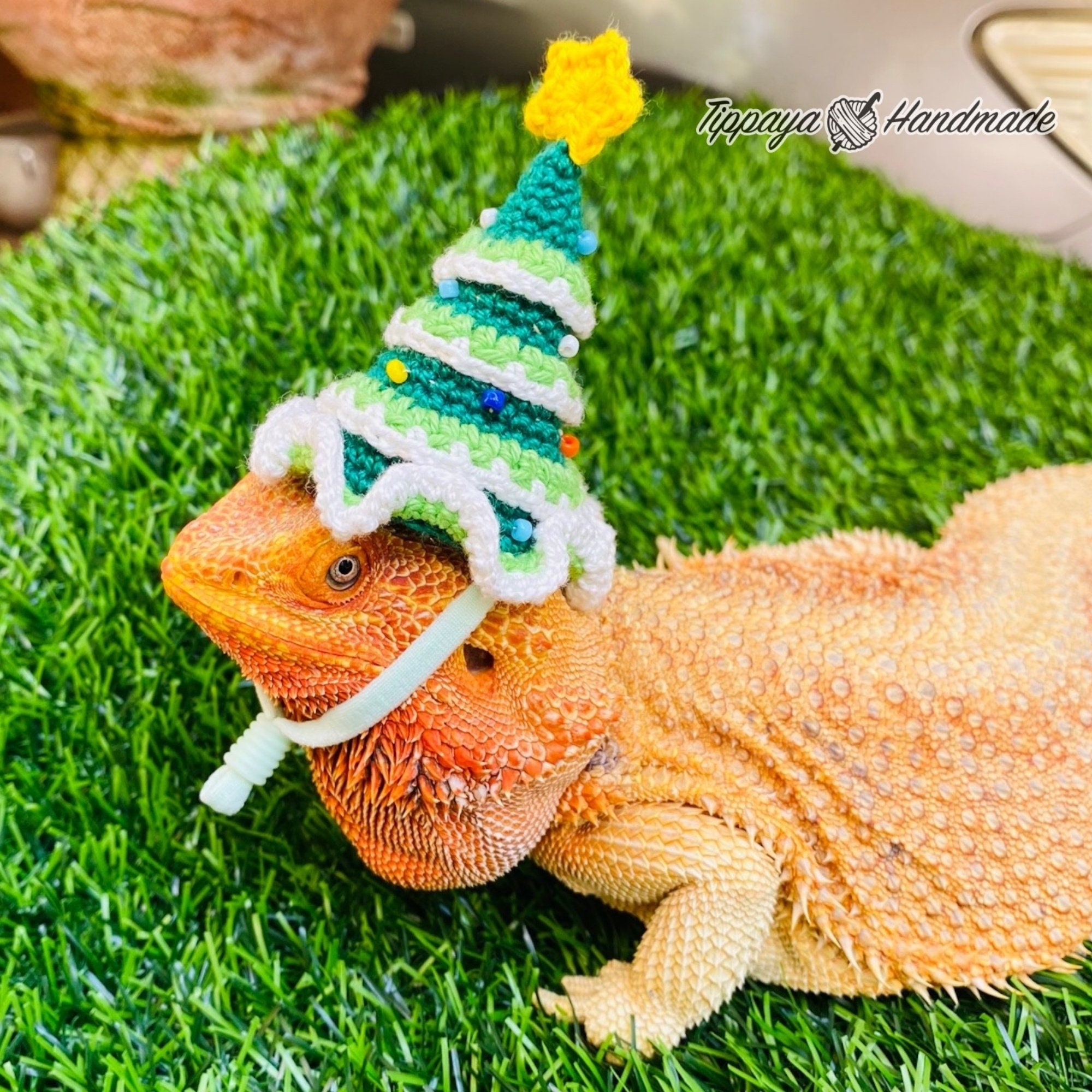 Crochet Headband Pattern for Bearded Dragon Set 3 - Etsy