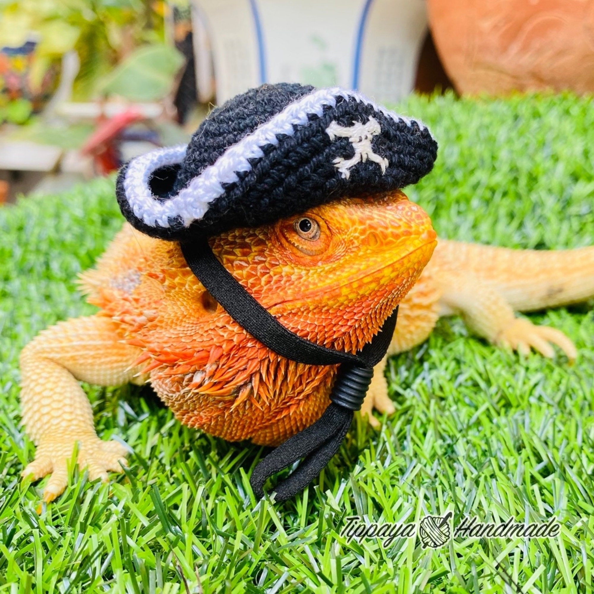 Crochet Headband Pattern for Bearded Dragon Set 3 - Etsy