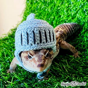 May include: A leopard gecko wearing a light blue crocheted knight helmet with black vertical stripes. The reptile is on a bed of green artificial grass. The gecko's skin is tan with brown spots. The image is signed "Tippaya Crochet."
