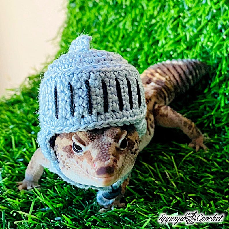 May include: A leopard gecko wearing a light blue crocheted knight helmet with black vertical stripes. The reptile is on a bed of green artificial grass. The gecko's skin is tan with brown spots. The image is signed "Tippaya Crochet."