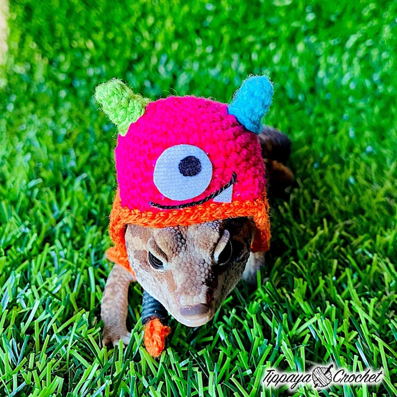 May include: A reptile wearing a handmade crochet hat with a monster face design. The hat is primarily bright pink with orange, green, and blue accents. The reptile is on a bed of green grass. The image includes the text "Tippaya Crochet".