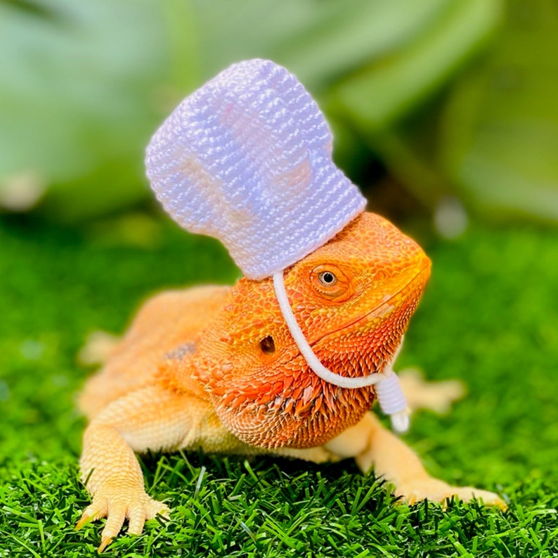 Crochet Headband Pattern for Bearded Dragon Set 2 - Etsy