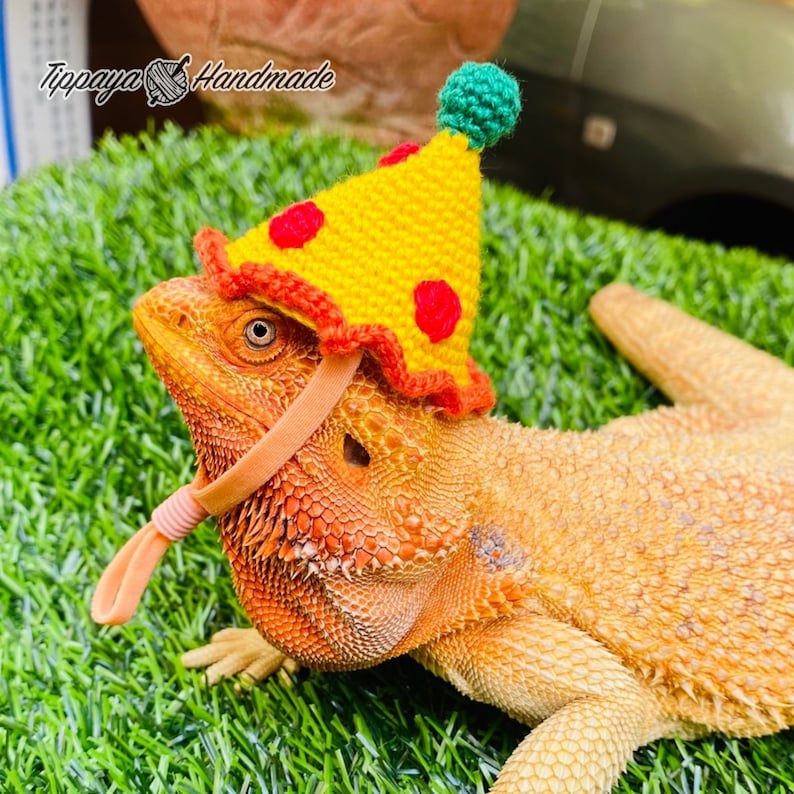 Crochet Headband Pattern for Bearded Dragon Set 3 - Etsy