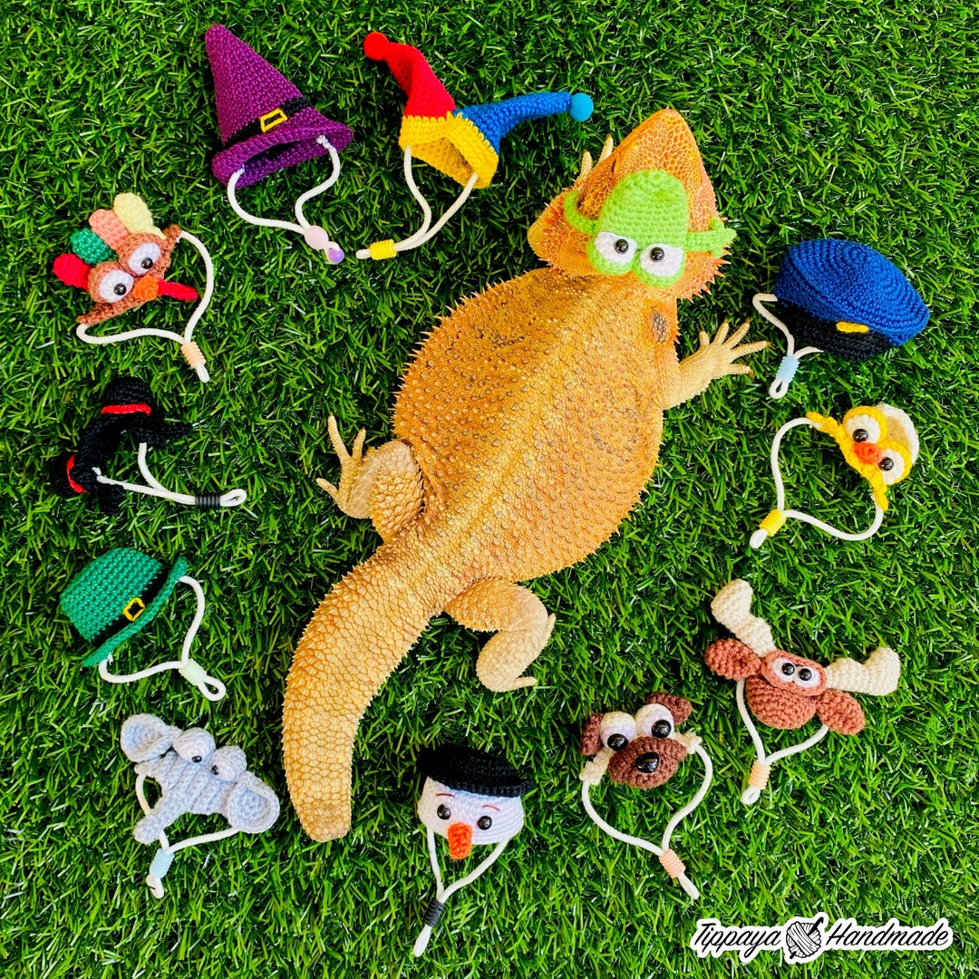 Crochet Headband Pattern for Bearded Dragon Set 4 - Etsy