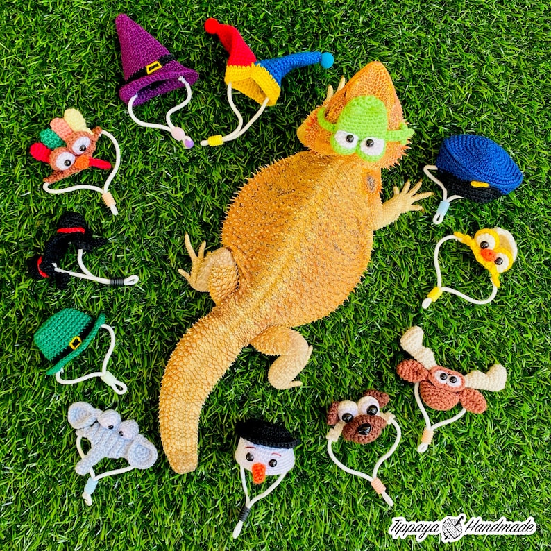 Crochet Headband Pattern for Bearded Dragon Set 4 - Etsy