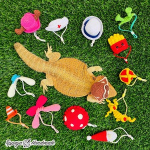 May include: A selection of colourful, crocheted pet accessories, including hats, a snail, a mushroom, and a french fry design, are arranged on green grass. A lizard is in the centre of the image. The text "Tippaya Handmade" is in the bottom left corner.
