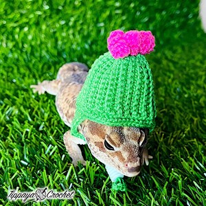 May include: A reptile wearing a handmade green crochet hat with a pink pom-pom on top. The reptile is on a bed of green grass. The hat is labeled with the text "Tippaya Crochet".