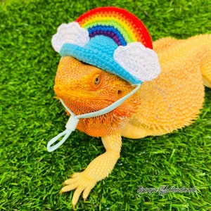 Crochet Headband Pattern for Bearded Dragon Set 3 - Etsy