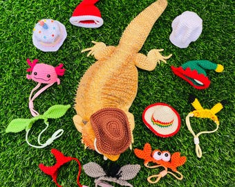 Crochet Headband Pattern for Bearded Dragon set 2