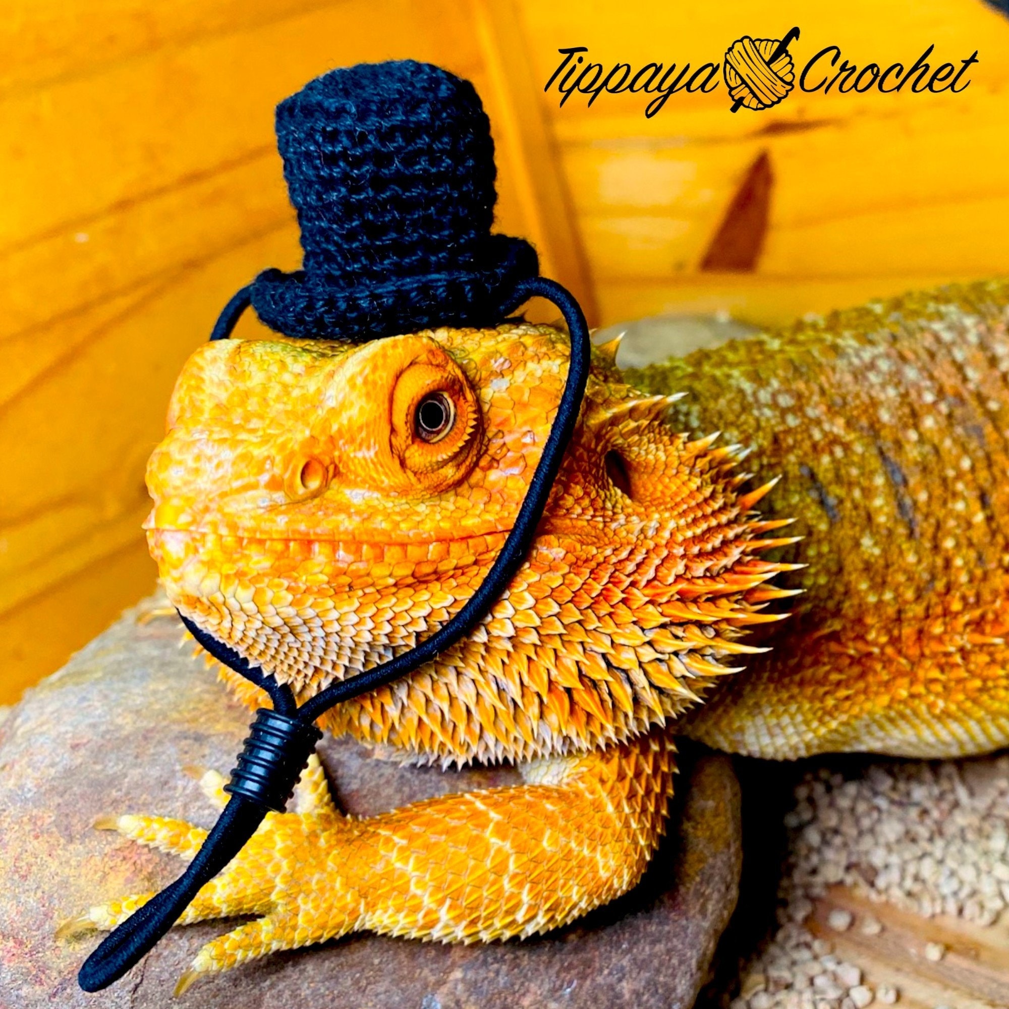 Crochet Pattern of Head Band for Bearded Dragon - Etsy