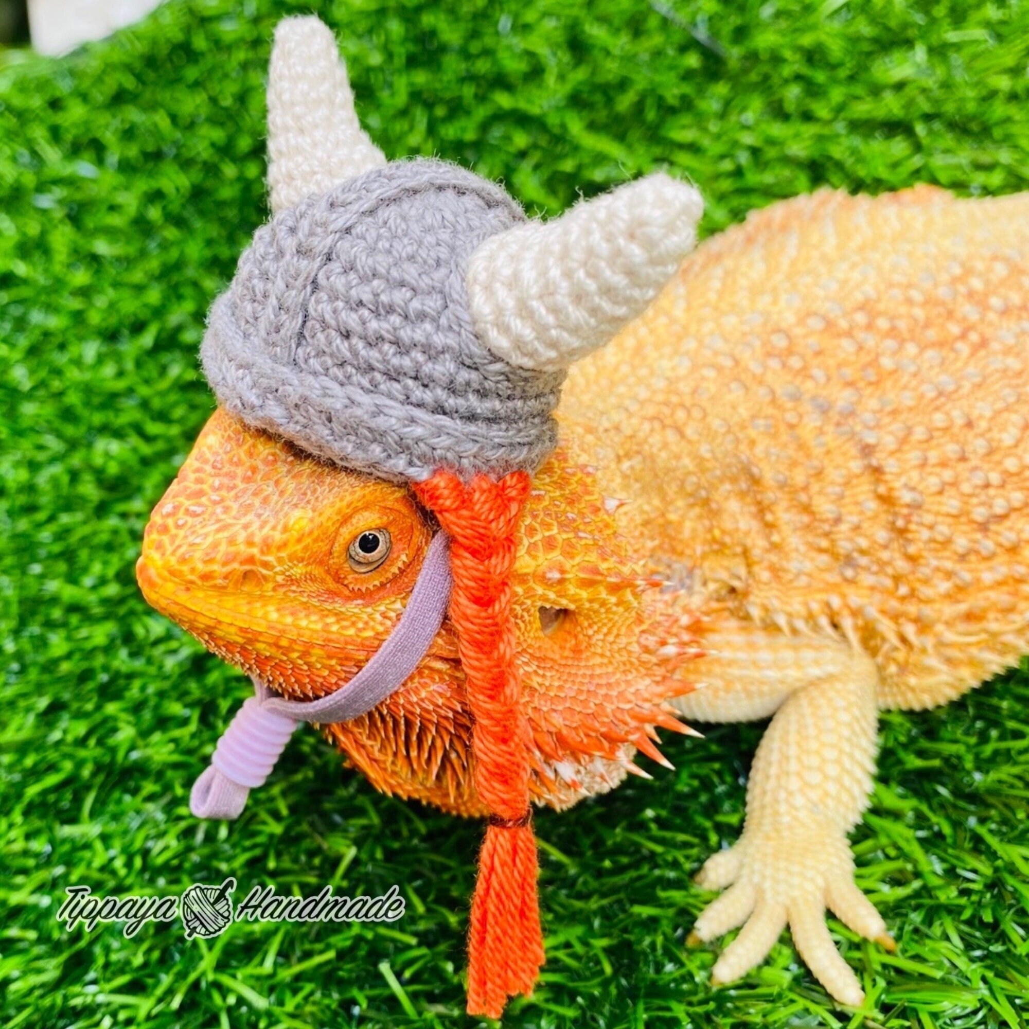 Crochet Headband Pattern for Bearded Dragon Set 3 - Etsy