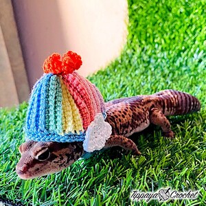 May include: A leopard gecko wearing a colorful, striped crochet hat with orange pom-poms. The hat is blue, yellow, and red. The gecko is on green grass.