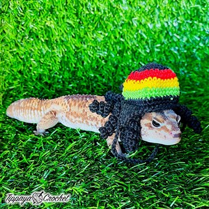 May include: A leopard gecko wearing a crocheted hat in the colors of red, yellow, and green, with black dreadlocks. The gecko is on a bed of green artificial grass. The image includes the text "Tippaya Crochet".