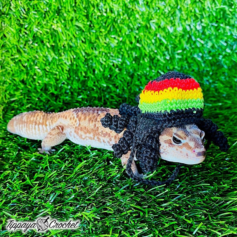 May include: A leopard gecko wearing a crocheted hat in the colors of red, yellow, and green, with black dreadlocks. The gecko is on a bed of green artificial grass. The image includes the text "Tippaya Crochet".