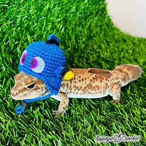 May include: A leopard gecko wearing a blue crocheted hat with white and pink eye details, a black pom-pom, and yellow accents. The gecko is on a bed of green artificial grass. The hat is a handmade item.