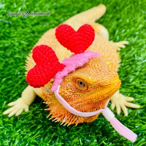 Crochet Headband Pattern for Bearded Dragon Set 3 - Etsy