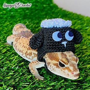 May include: A leopard gecko wearing a handmade black crochet sheep hat with blue eyes and a white muzzle. The hat has a fluffy blue top. The gecko is on green artificial grass. The text "Tippaya Crochet" is in the upper left corner.