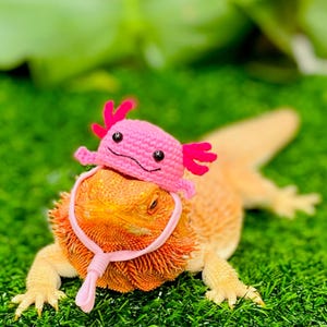 Crochet Headband Pattern for Bearded Dragon Set 2 - Etsy