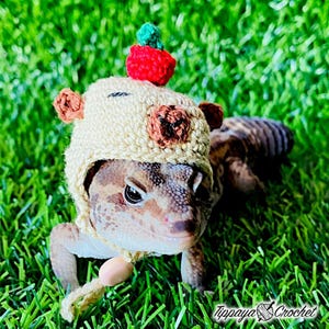 May include: A leopard gecko wearing a handmade crochet hat with bear ears and a red and green pom-pom. The gecko is on a bed of green grass. The hat has a beige color with brown accents. The image is signed by Tippaya Crochet.