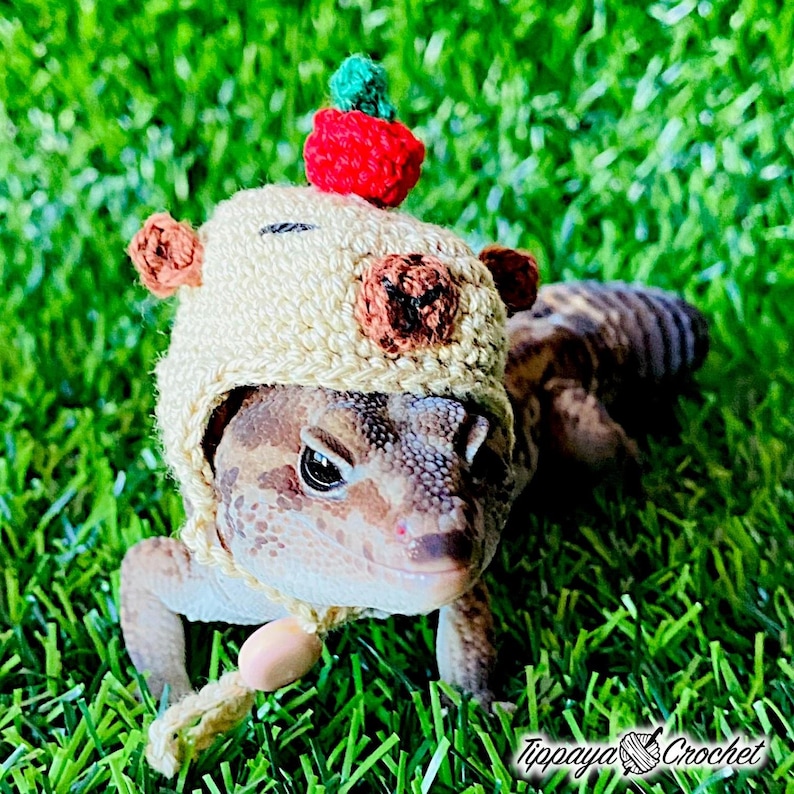 May include: A leopard gecko wearing a handmade crochet hat with bear ears and a red and green pom-pom. The gecko is on a bed of green grass. The hat has a beige color with brown accents. The image is signed by Tippaya Crochet.